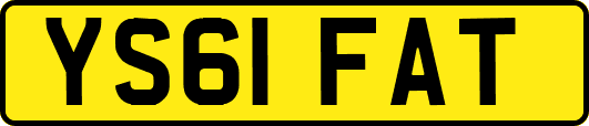 YS61FAT