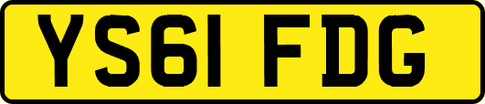 YS61FDG