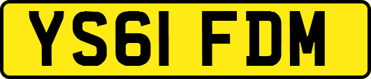 YS61FDM
