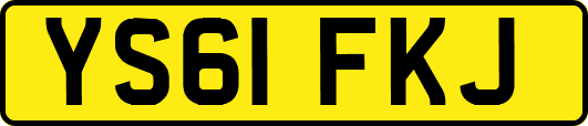 YS61FKJ