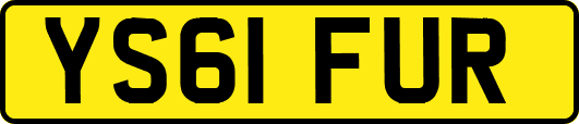 YS61FUR