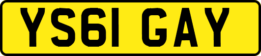 YS61GAY