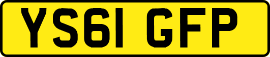 YS61GFP