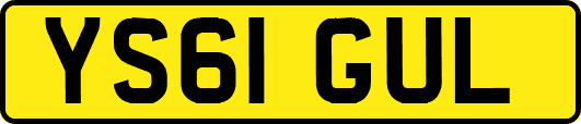YS61GUL