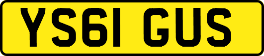YS61GUS