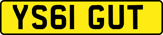 YS61GUT
