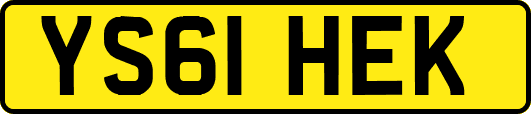 YS61HEK