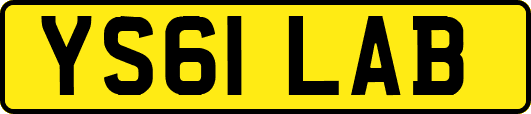 YS61LAB