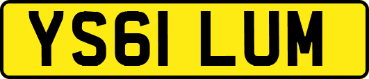 YS61LUM