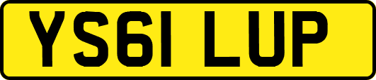 YS61LUP