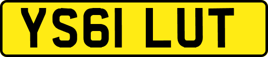 YS61LUT
