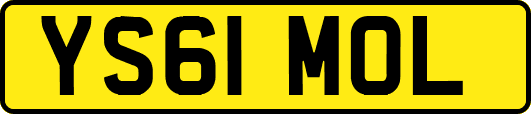 YS61MOL