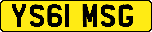 YS61MSG