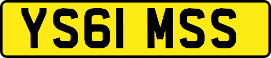 YS61MSS