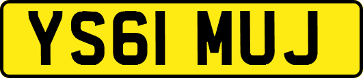YS61MUJ