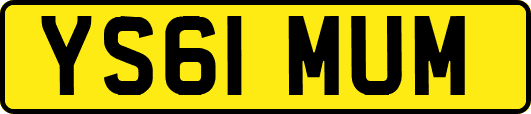 YS61MUM