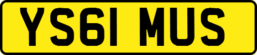 YS61MUS
