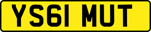 YS61MUT