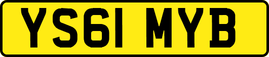 YS61MYB