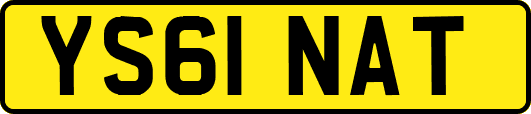 YS61NAT