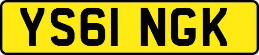 YS61NGK