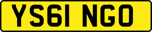 YS61NGO
