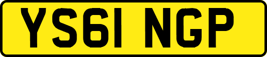 YS61NGP