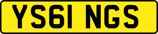 YS61NGS