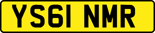 YS61NMR