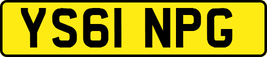 YS61NPG