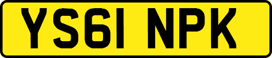 YS61NPK