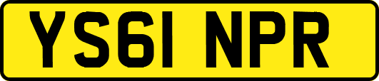 YS61NPR