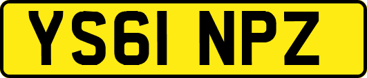 YS61NPZ