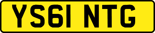YS61NTG