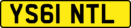 YS61NTL