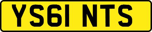 YS61NTS