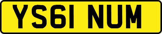 YS61NUM