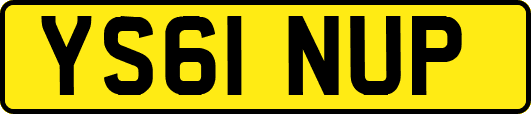 YS61NUP