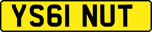 YS61NUT