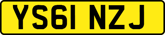 YS61NZJ