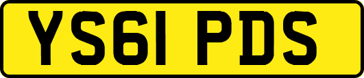 YS61PDS