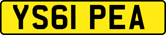 YS61PEA