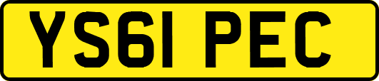 YS61PEC