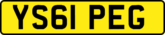 YS61PEG
