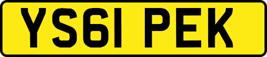 YS61PEK