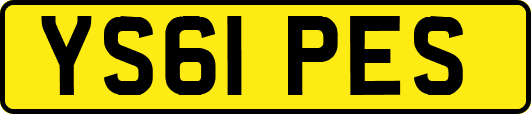 YS61PES