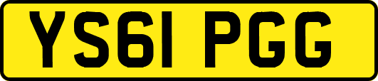 YS61PGG