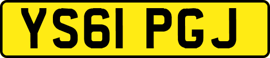 YS61PGJ
