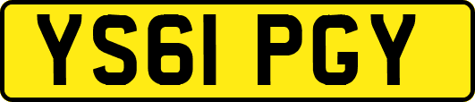 YS61PGY