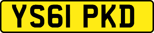 YS61PKD